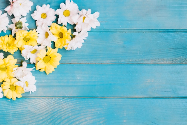 Photo gratuite fleurs blanches et jaunes