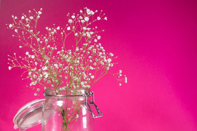 Fleurs blanches en pot de verre