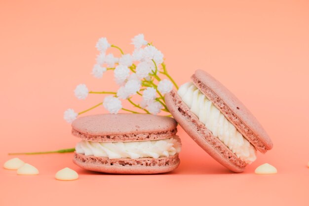 Fleurs blanches près des macarons sur fond de corail