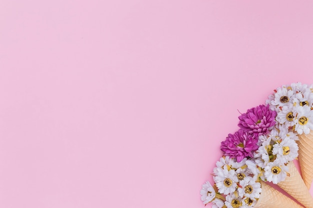 Photo gratuite fleurs blanches et violettes dans les cônes