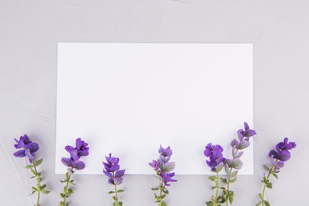 Fleurs bleues avec du papier vierge sur la table