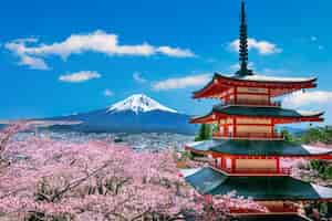 Photo gratuite fleurs de cerisier au printemps, pagode chureito et montagne fuji au japon.