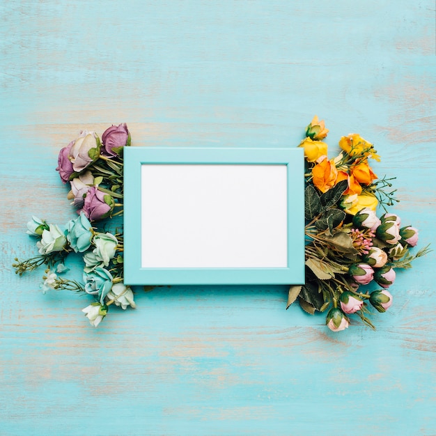 Fleurs colorées avec cadre bleu.