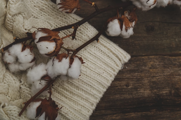 Fleurs de coton sur des tables en bois sur table en bois