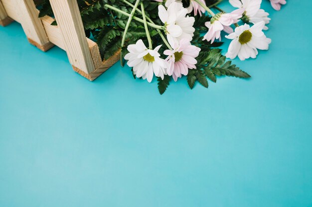 Photo gratuite fleurs dans une boîte en bois avec de l'espace sur le fond