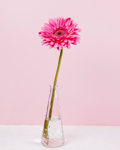 Photo gratuite fleurs dans un vase