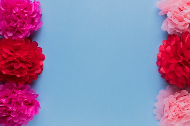 Les fleurs décoratives rouges et roses sont disposées en rangées sur la surface bleue