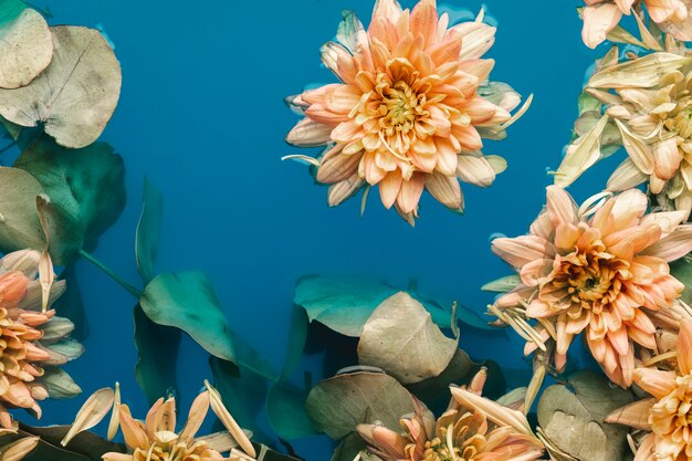 Fleurs délicates dans l'eau bleue