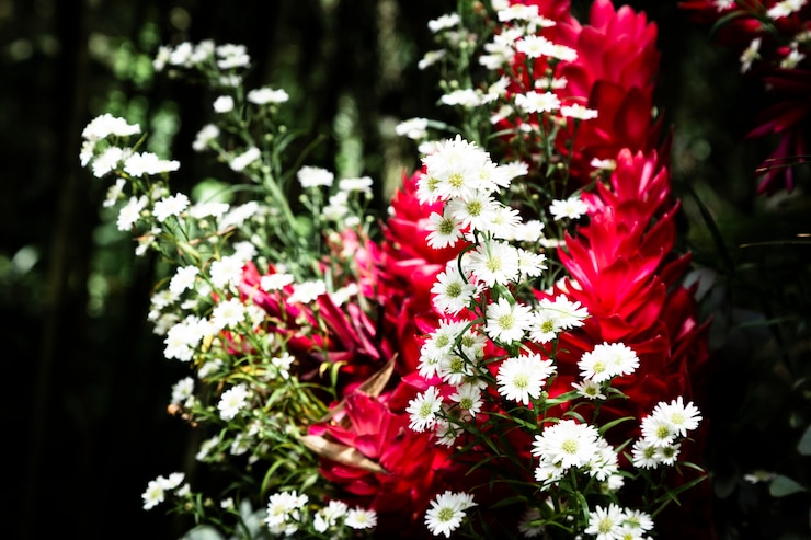 Photo gratuit fleurs exotiques avec un arrière-plan flou