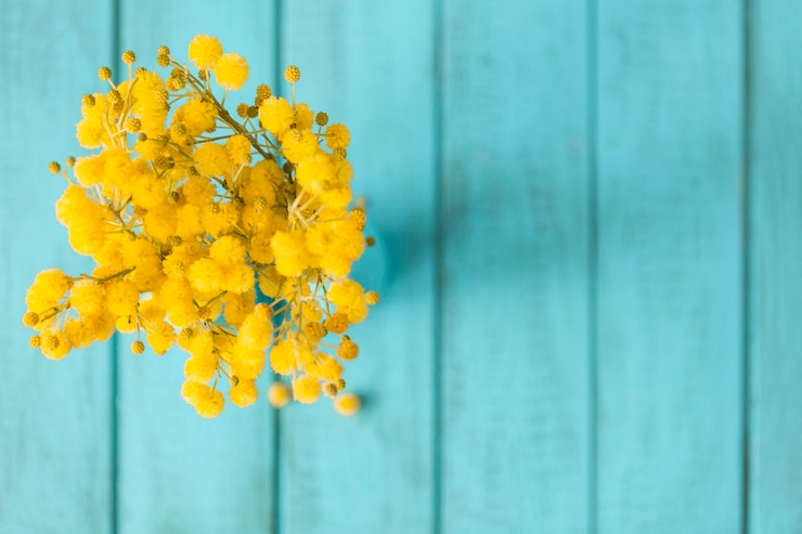 Photo gratuit fleurs fantastiques avec bleu planches de fond
