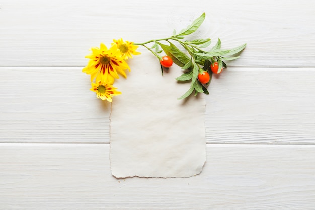 Fleurs avec des feuilles placées sur la page