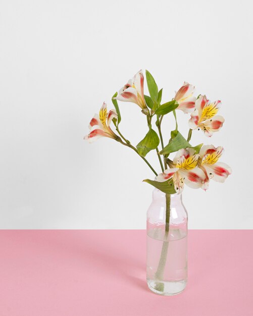 Fleurs en fleurs dans un vase sur la table