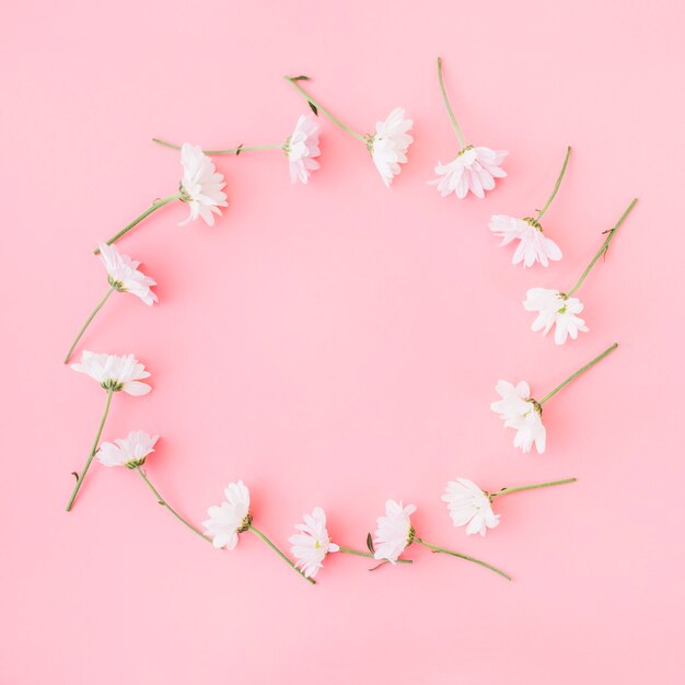 Fleurs formant cercle sur fond rose