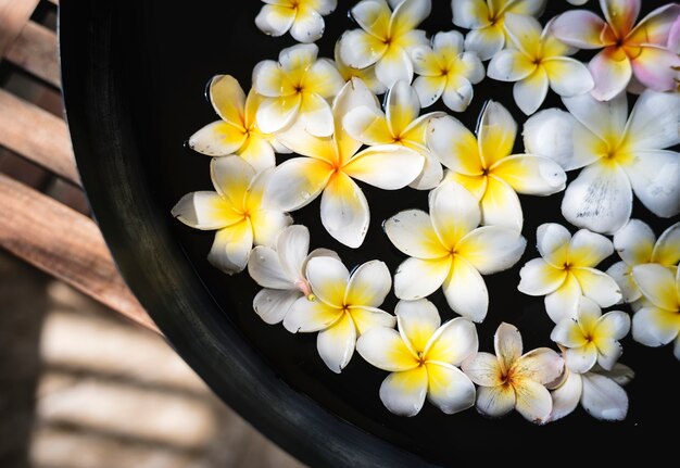 Fleurs de frangipanier dans un salon spa