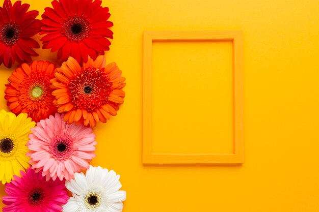 Fleurs Jaune Vecteurs Et Photos Gratuites
