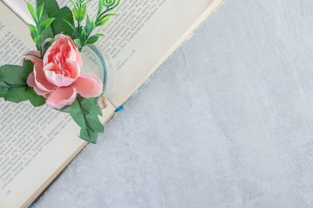 Fleurs gracieuses dans un bocal sur le livre, sur fond blanc. photo de haute qualité
