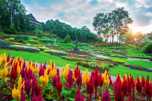 Fleurs de jardin, jardin Mae fah luang localiser sur Doi Tung à Chiang Rai, Thaïlande.