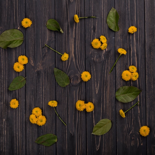 Fleurs jaunes et feuilles