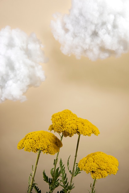 Photo gratuite fleurs jaunes et nuages pelucheux