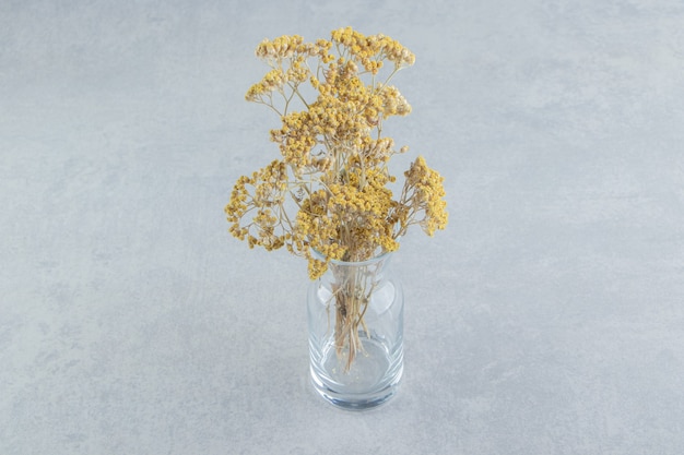 Photo gratuite fleurs jaunes séchées dans un bocal en verre.