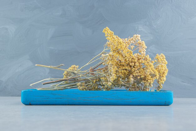 Fleurs jaunes séchées sur panneau bleu.