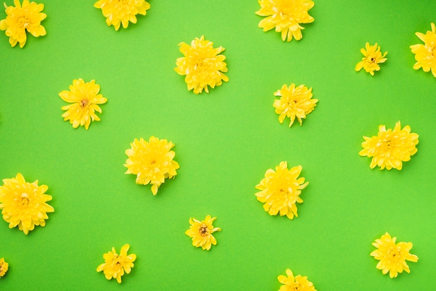 Photo gratuite fleurs jaunes sur le vert