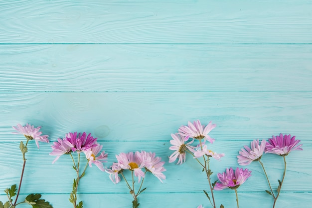 Fleurs lumineuses dispersées sur une table en bois