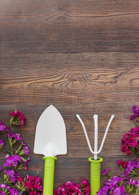 Fleurs lumineuses près des outils de jardinage