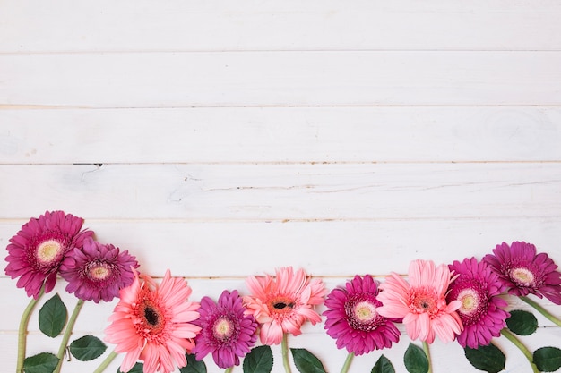 Fleurs lumineuses sur la table