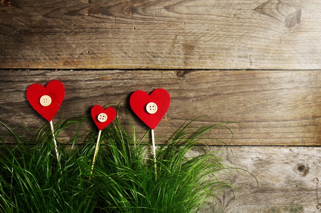 Fleurs magnifiques de coeurs sur l&#39;herbe verte, la Saint-Valentin ou le concept d&#39;amour.