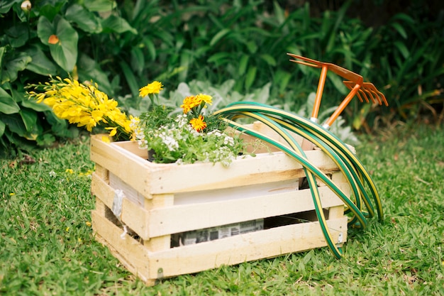 Fleurs et matériel de jardinage dans un conteneur en bois sur Prairie près de plantes