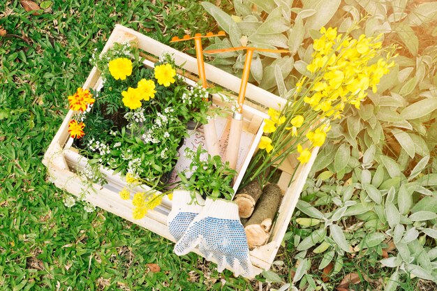 Fleurs et matériel de jardinage dans un conteneur en bois