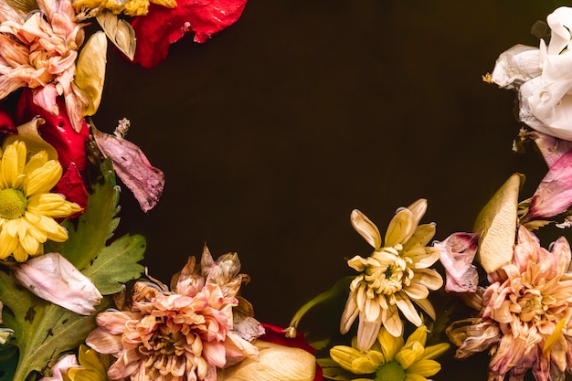 Photo gratuite fleurs multicolores dans une eau noire avec espace de copie