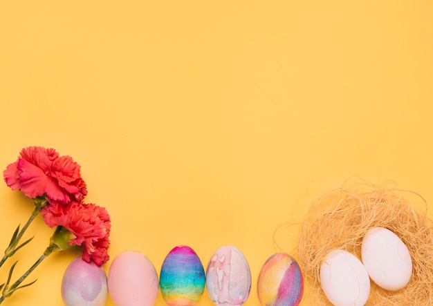 Fleurs d&#39;oeillets rouges avec des oeufs de Pâques colorés sur fond jaune