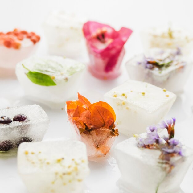 Fleurs et plantes en cubes de glace