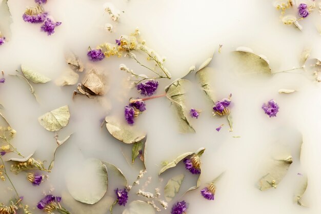 Fleurs plates violettes dans de l'eau de couleur blanche