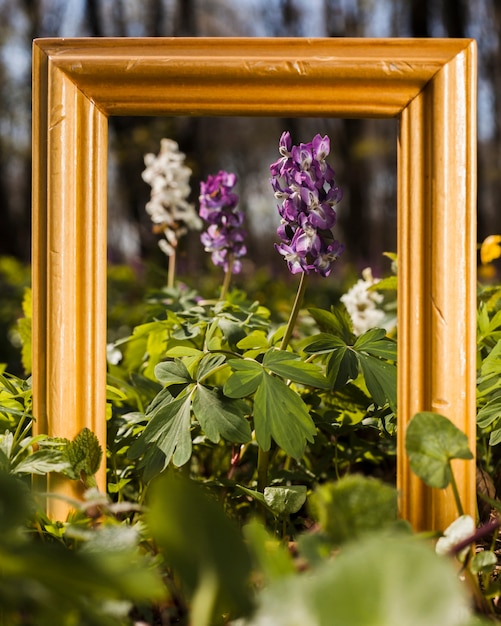 Fleurs en plein air