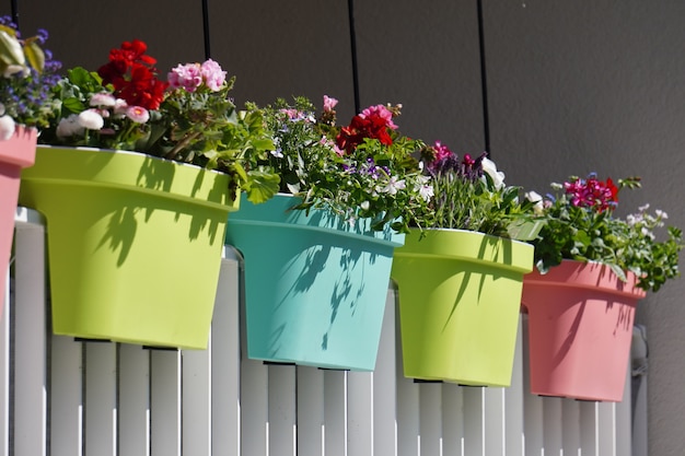 Photo gratuite fleurs avec des pots colorés sur une clôture blanche