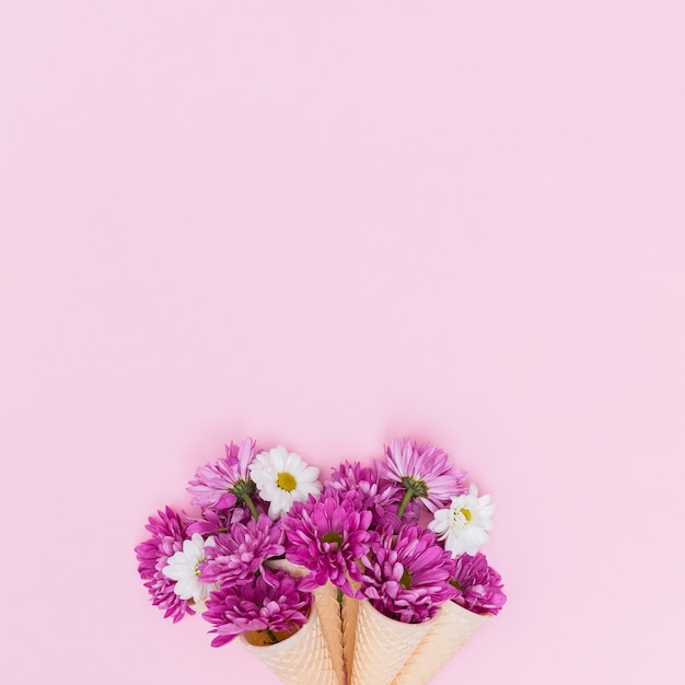 Fleurs pourpres et blanches dans des cônes de gaufre