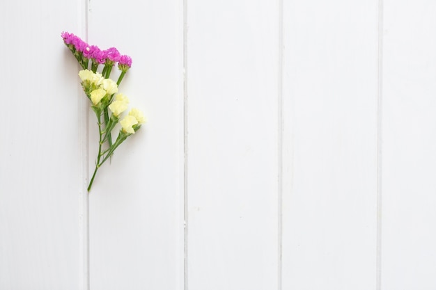 Fleurs pourpres et jaunes sur fond blanc