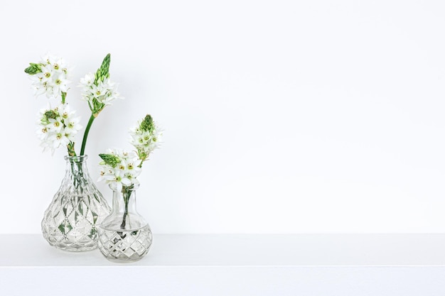 Fleurs de printemps dans des vases en verre isolés sur fond blanc
