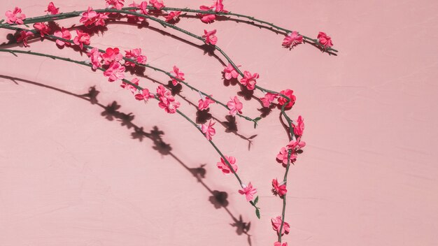 Fleurs roses dans une branche