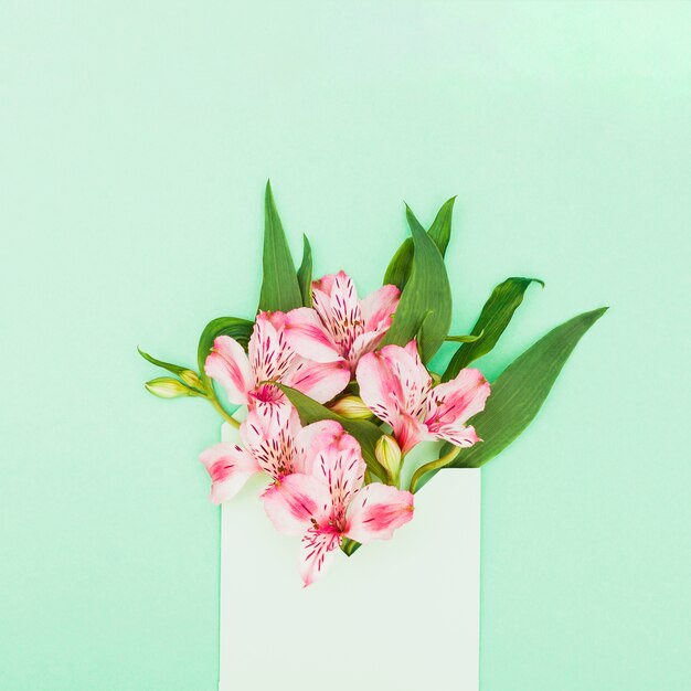 Fleurs roses dans l&#39;enveloppe sur la table