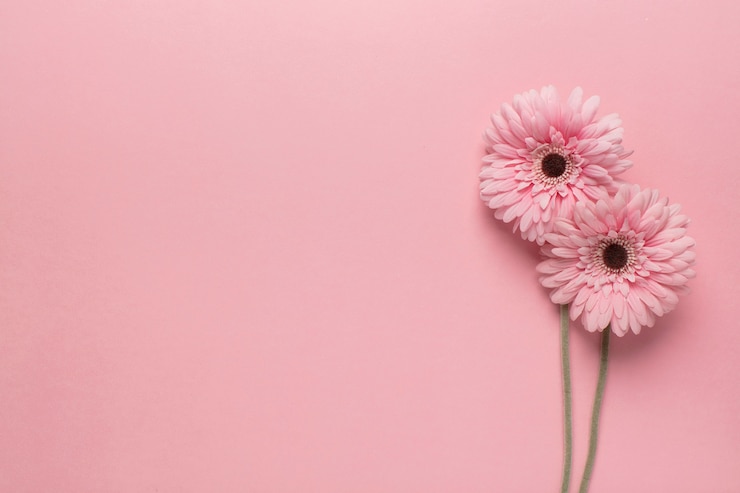 Des fleurs roses sur du rose