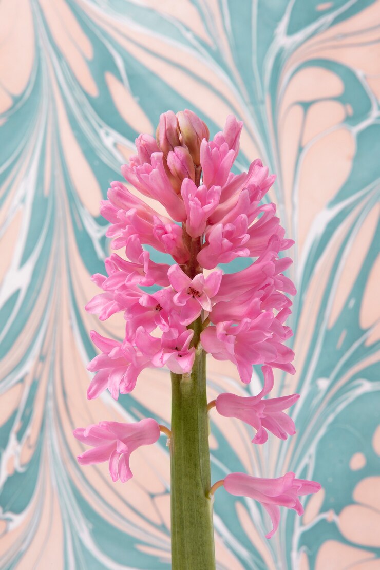 Photo gratuit fleurs roses avec peinture psychédélique