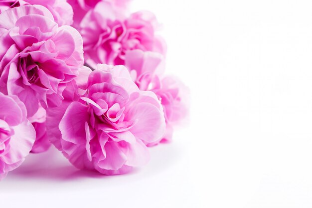 Fleurs roses sur une table blanche