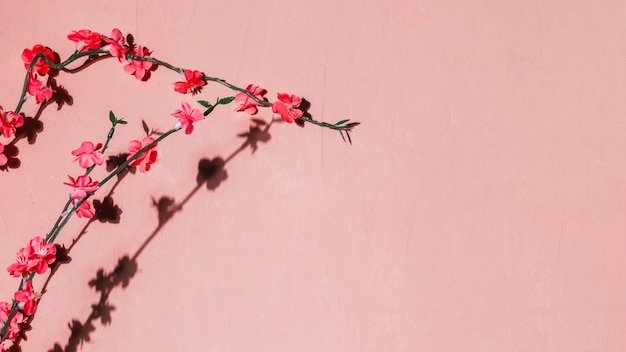 Fleurs rouges dans une branche