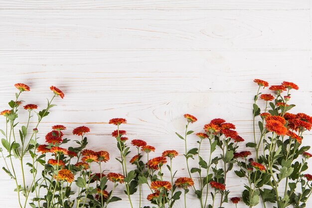 Fleurs rouges dispersées sur une table en bois