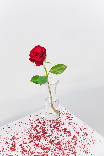 Fleurs rouges fraîches dans un vase entre des confettis sur la table