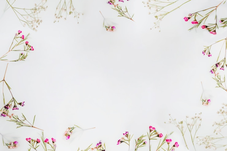 Photo gratuit fleurs sauvages avec fond
